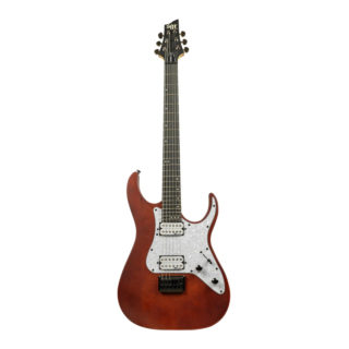 Schecter SGR Banshee-6 WSN